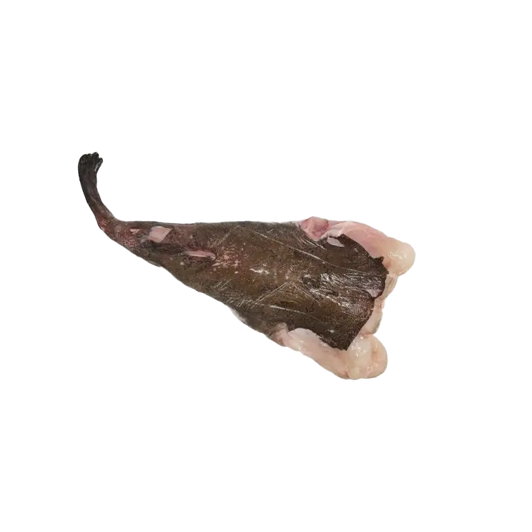 Fresh Monkfish Tail - High-Quality Fish for Grilling, Baking, and Gourmet Dishes | ذيل سمك الراهب الطازج بجودة عالية للشوي، التحميص، وتحضير الأطباق الفاخرة