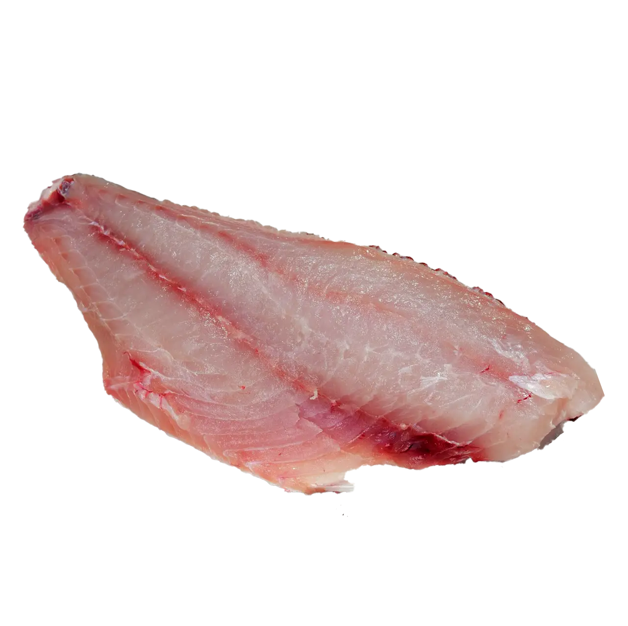 Fresh Red Snapper Fillet - High-Quality Fish Fillet for Grilling, Frying, and Baking | فيليه سمك الحمراء الطازج بجودة عالية للشوي، القلي، والتحميص