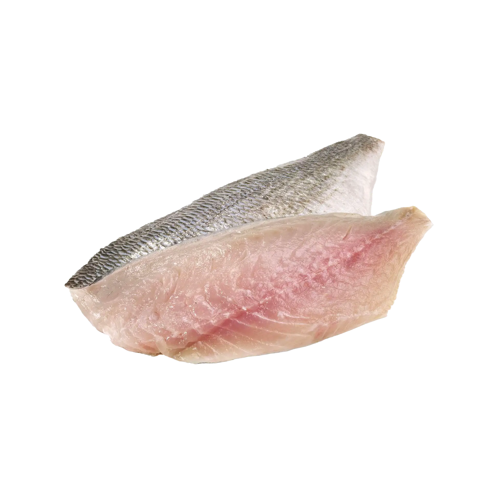 Fresh Seabream Fillet - High-Quality Seafood for Grilling, Baking, and Frying | فيليه سمك الدنيس الطازج بجودة عالية للشوي، التحميص، والقلي