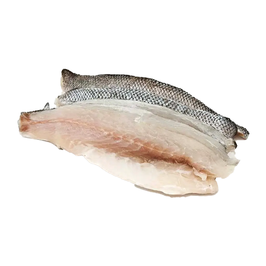 Fresh Wild Caught Seabass Fillet - High-Quality Seabass for Grilling, Frying, and Baking | فيليه قاروص طازج بجودة عالية للشوي، القلي، والتحميص