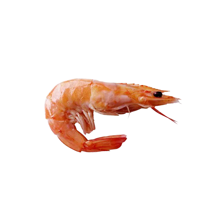 Frozen Argentinian Shrimp - High-Quality Shrimp for Grilling, Frying, and Seafood Recipes | جمبري أرجنتيني مجمد بجودة عالية للشوي، القلي، وتحضير الأطباق البحرية