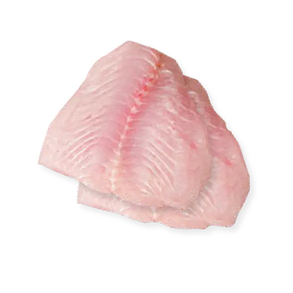 Frozen Catfish Fillet - High-Quality Fish Fillet for Grilling, Frying, and Baking | فيليه سمك القرموط المجمد بجودة عالية للشوي، القلي، والتحميص