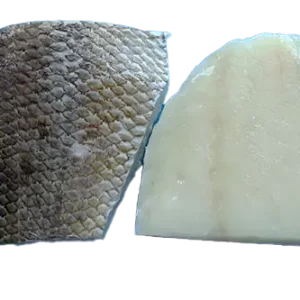 Frozen Emperor Fillet Skinless - High-Quality Fish Fillet for Grilling, Frying, and Baking | فيليه سمك الإمبراطور المجمد بدون جلد بجودة عالية للشوي والقلي والتحميص