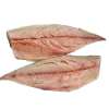 Frozen Fillet Bonito - High-Quality Bonito Fillets for Grilling, Sushi, and Asian Cuisine | فيليه سمك البونيتو المجمد بجودة عالية للشوي والسوشي والمأكولات الآسيوية