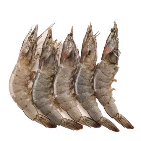 Frozen Whole Shrimps - High-Quality Whole Shrimps for Boiling, Grilling, and Seafood Recipes | جمبري كامل مجمد بجودة عالية للسلق، الشوي، وتحضير الأطباق البحرية