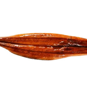 Unagi Kabayaki - High-Quality Grilled Eel with Sweet Soy Sauce for Sushi, Rice Bowls, and Gourmet Recipes | أوناجي كباياكي - ثعبان البحر المشوي بنكهة الصويا الحلوة للسوشي والأطباق الفاخرة