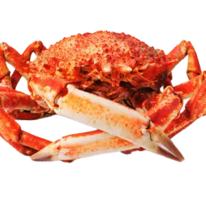 Whole Spider Crab - High-Quality Fresh Crab for Boiling, Grilling, and Gourmet Recipes | سلطعون العنكبوت الكامل بجودة عالية للسلق، الشوي، وتحضير الأطباق الراقية