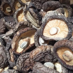 Dried Shiitake Mushrooms - Premium Quality | FoodzWay