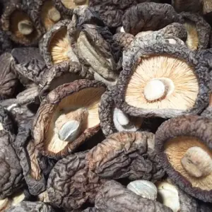Dried Shiitake - High-Quality Japanese Mushrooms for Enhancing Flavor in Soups, Stir-Fries, and Authentic Recipes | فطر شيتاكي المجفف بجودة عالية - لتعزيز النكهة في الشوربات، القلي السريع، والوصفات الأصيلة