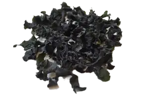 Dried Wakame Seaweed - High-Quality Japanese Seaweed for Miso Soup, Seaweed Salad, and Healthy Dishes | الأعشاب البحرية المجففة واكامي - أعشاب بحرية يابانية بجودة عالية لتحضير شوربة الميسو، سلطات الأعشاب البحرية، والأطباق الصحية