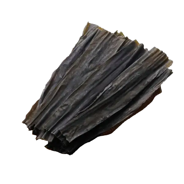 Hokkaido Kombu - High-Quality Japanese Seaweed for Dashi Broth, Soups, and Authentic Japanese Recipes | كُنبو هوكايدو - أعشاب بحرية يابانية بجودة عالية لتحضير مرق الداشي، الشوربات، والوصفات اليابانية الأصيلة